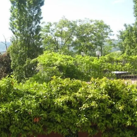 Hotell Lauri Neive